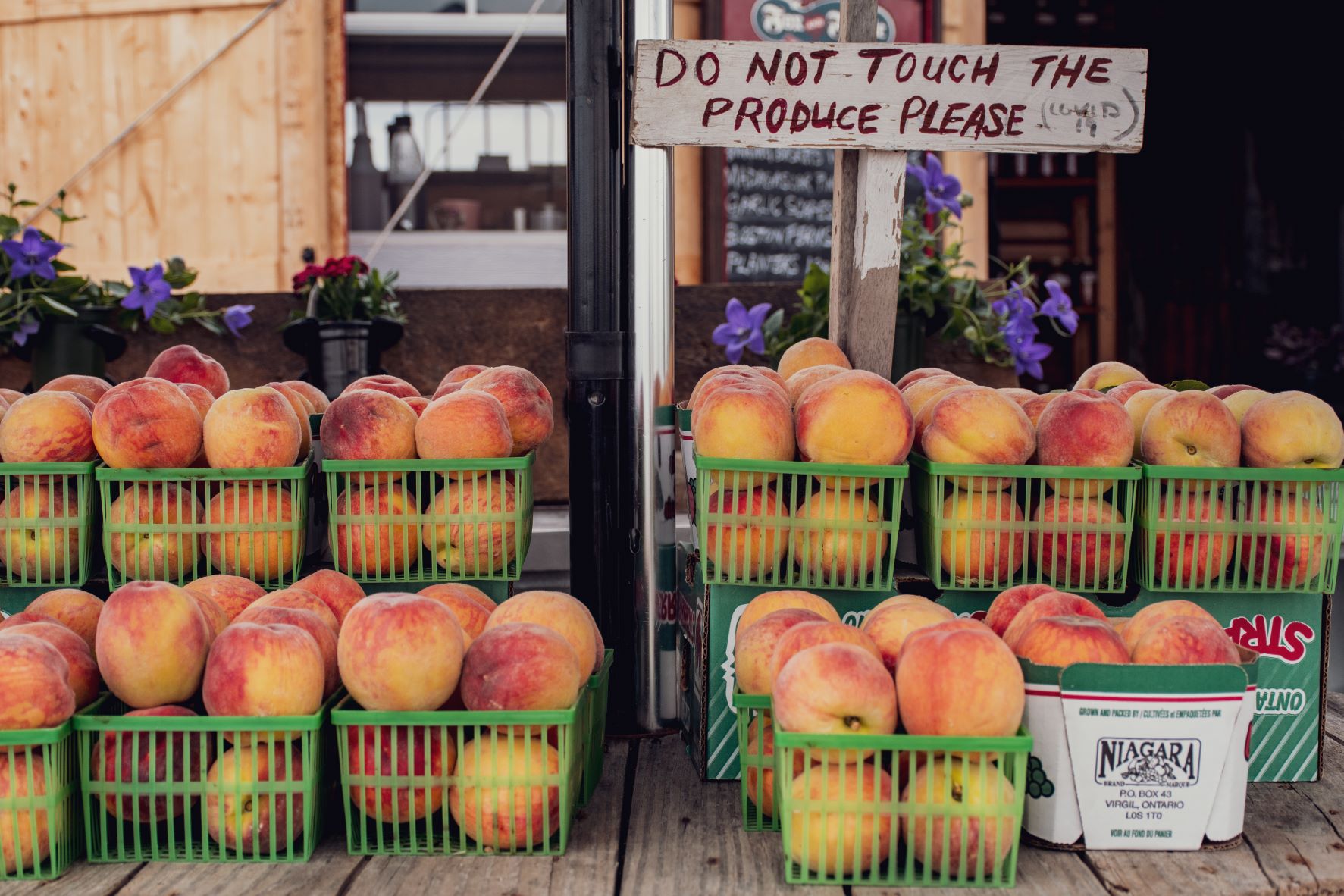 15 Best Things To Do In Niagara On The Lake By A Local Dream Plan