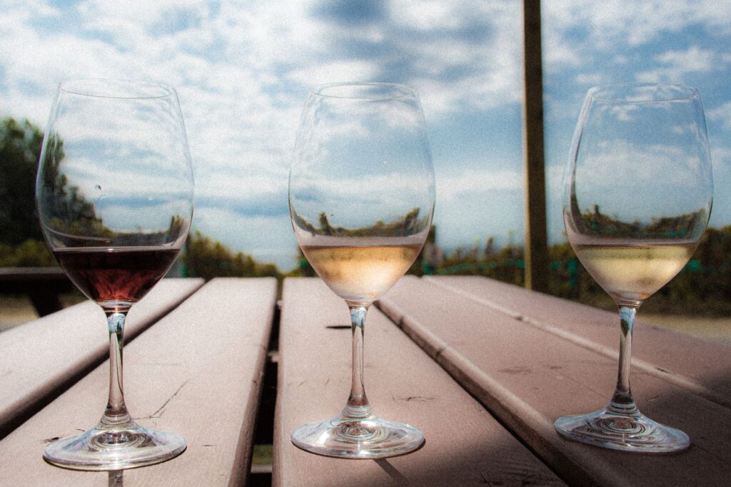 8 Best Wineries Prince Edward County In 2024 (that Are Dog Friendly Too
