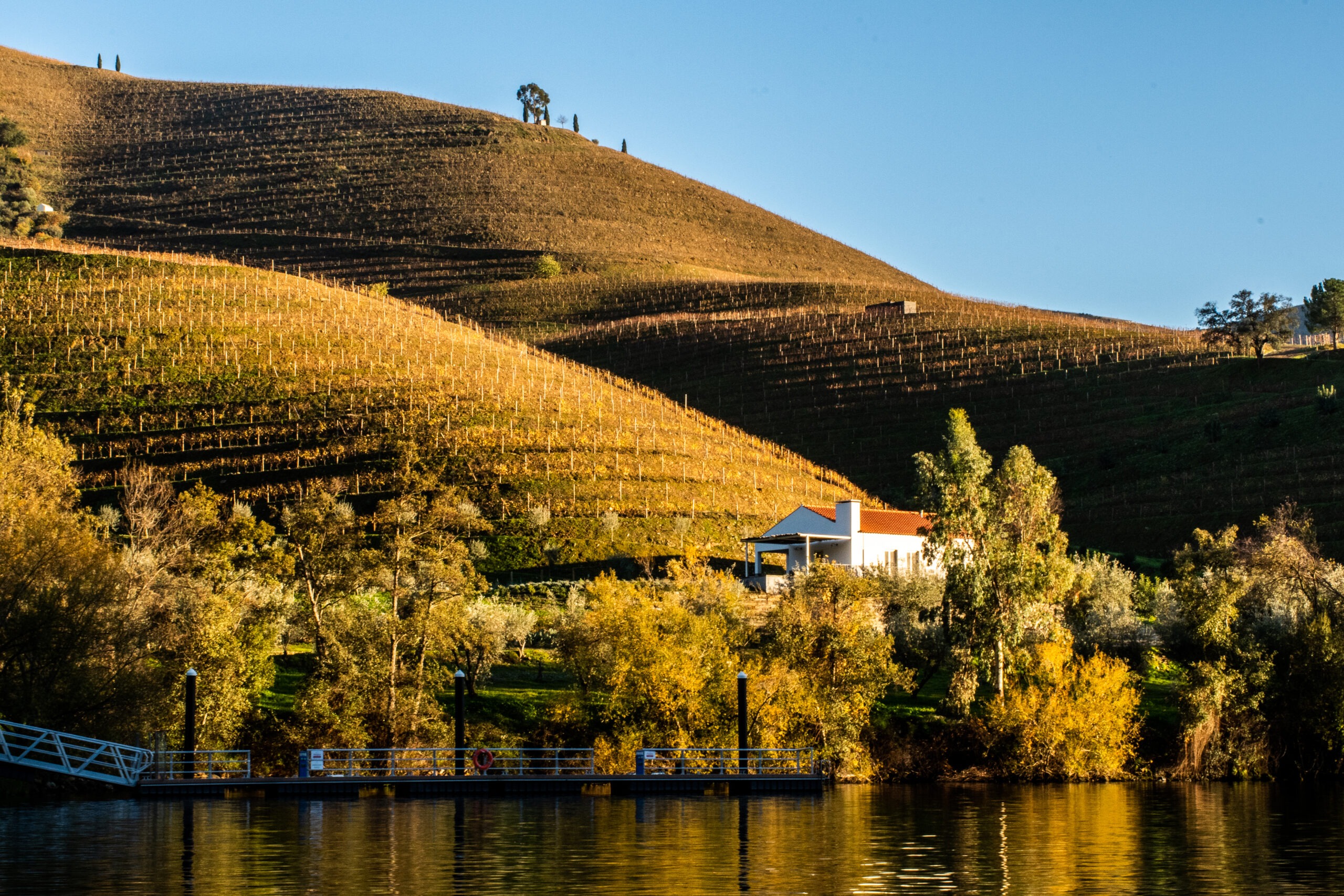 A Douro Valley Wine Tour From Porto Portugal Dream Plan Experience