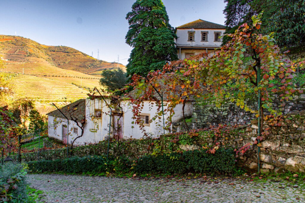 A Douro Valley Wine Tour from Porto Portugal • Dream Plan Experience