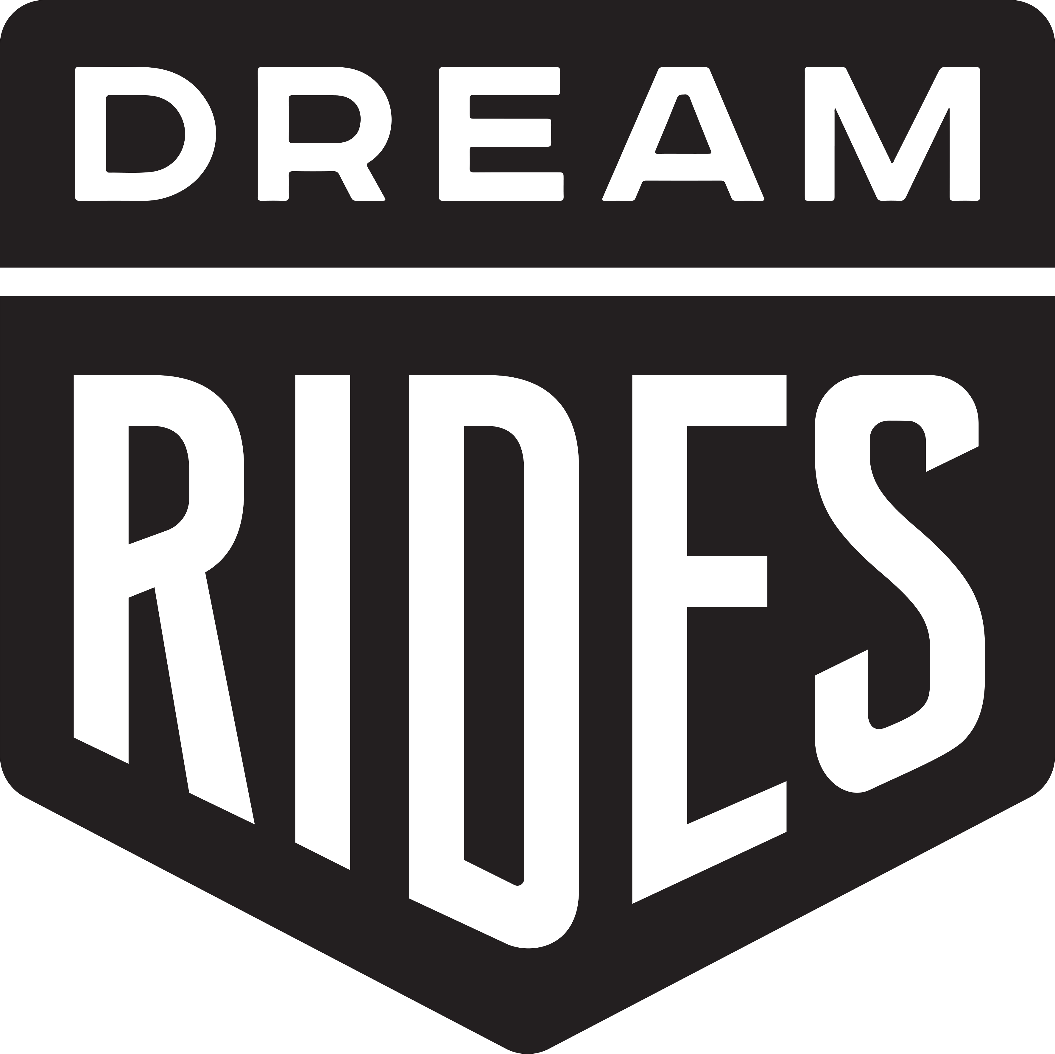 a driver of a passenger vehicle for commercial use in NSW