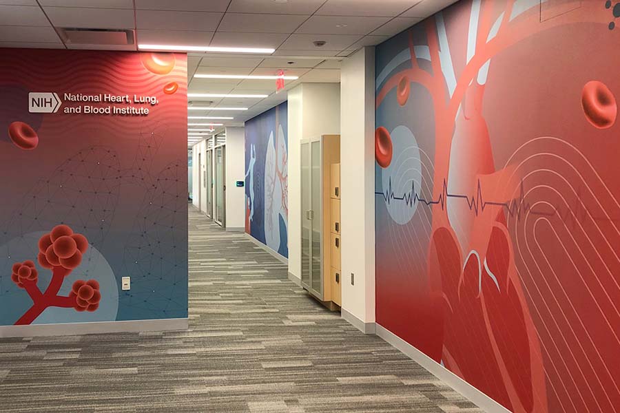 Is Your Type II Really Type II? Here is what you need to know