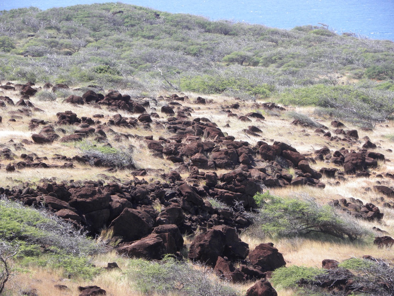 Lanai City Vacation Rental Dreams Come True on Lanai Lanai, Hawaii