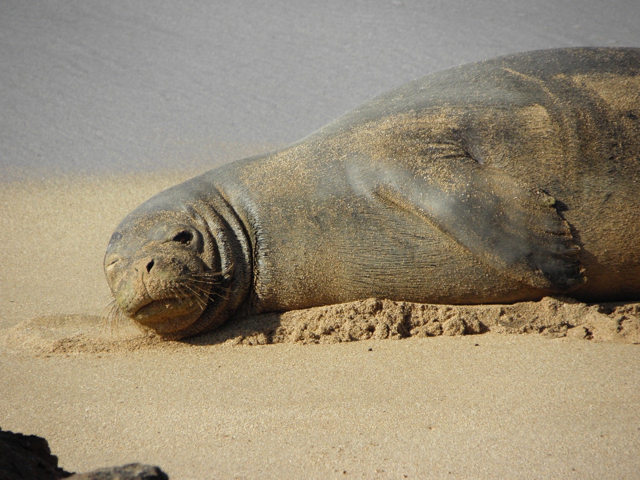 Lanai City Vacation Rental Dreams Come True on Lanai Lanai, Hawaii