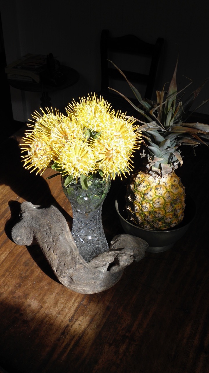 Lanai City Vacation Rental Dreams Come True on Lanai Lanai, Hawaii