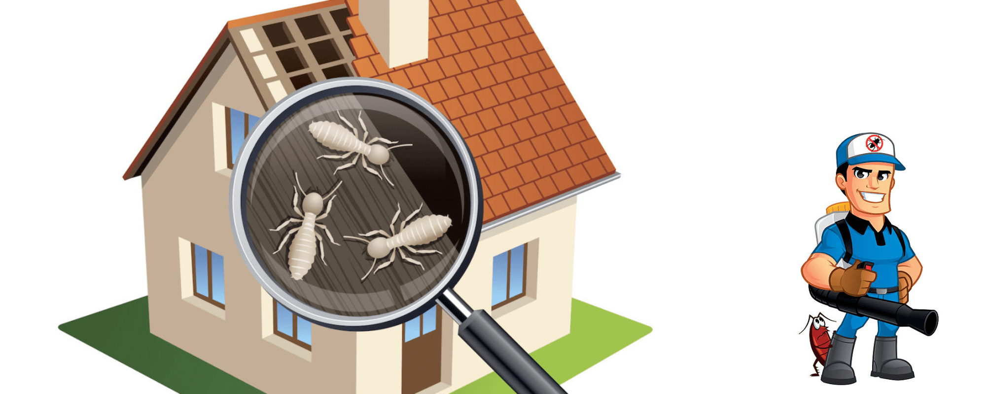 5 Important Reasons to Get a Termite Inspection