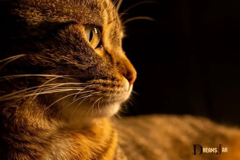 What Is The Meaning Of Cat In A Dream? Independence!