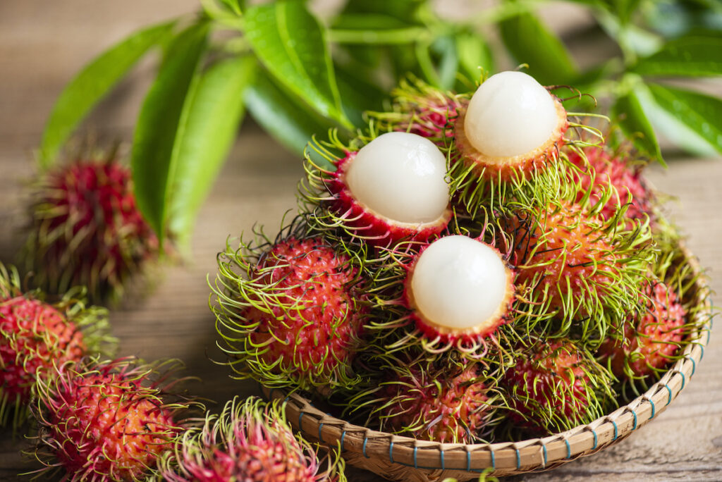 Is Rambutan Seed Edible? Is It Safe Or Unsafe To Eat Them Raw?