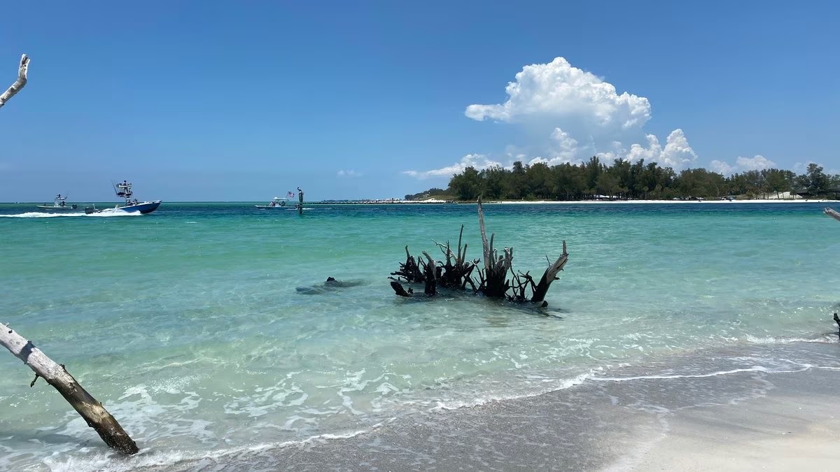 Longboat Key dredging prevents lagoon from forming DredgeWire