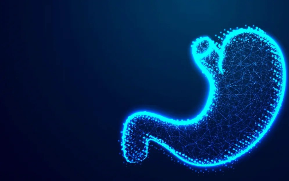 WHAT YOUR BOWEL MOVEMENTS SAYS ABOUT YOUR HEALTH dreket