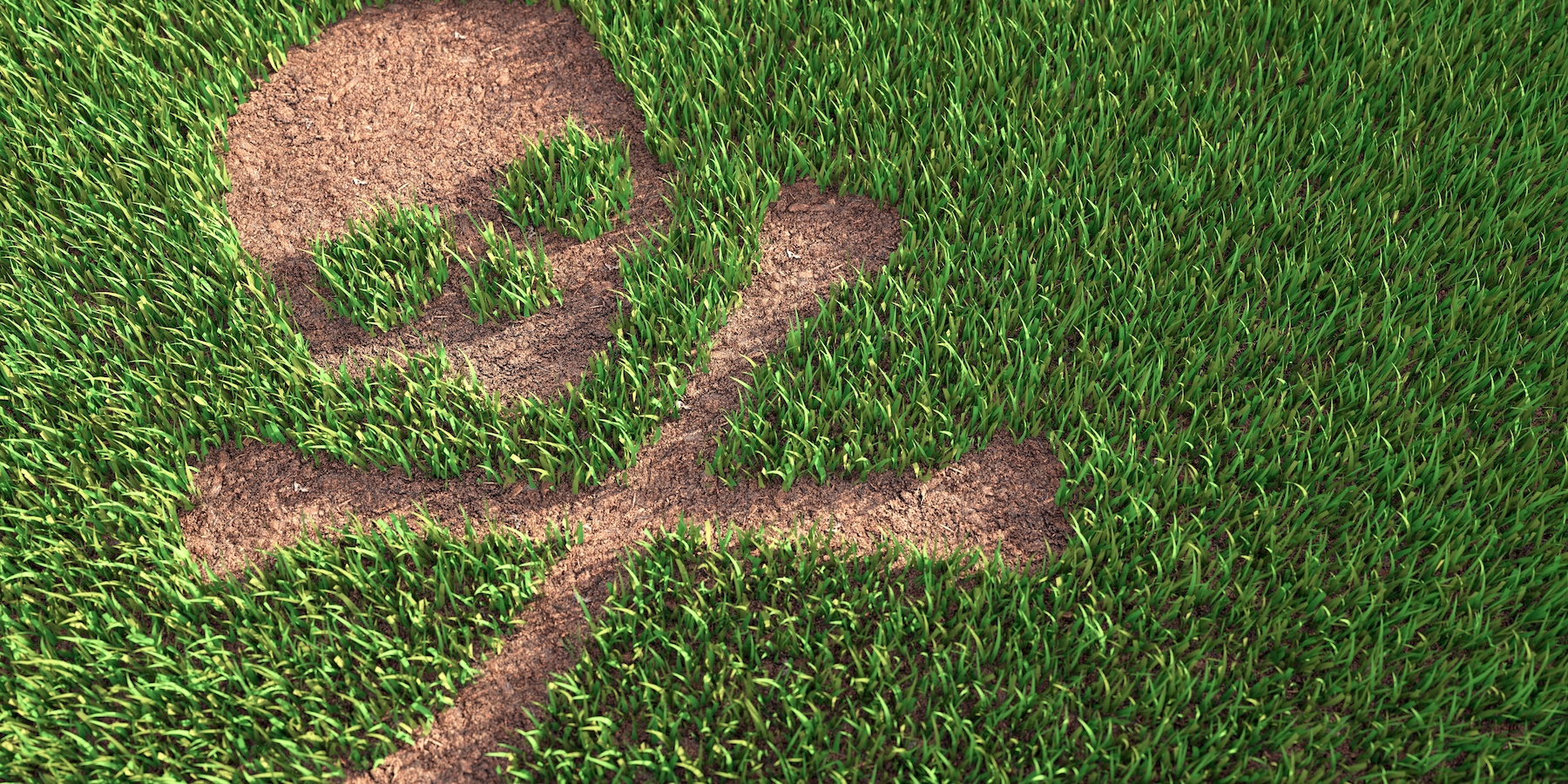 What Is Glyphosate? Learn The Health Risks of The Most Common Herbicide
