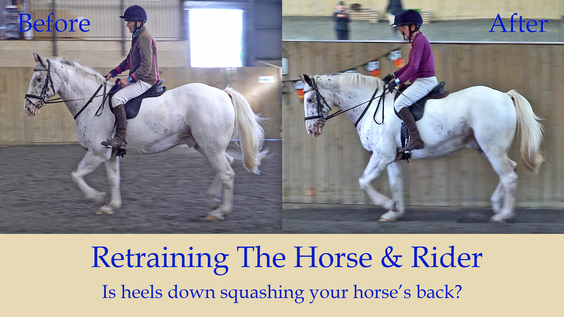 HOLLOW HORSE Dressage Training TV