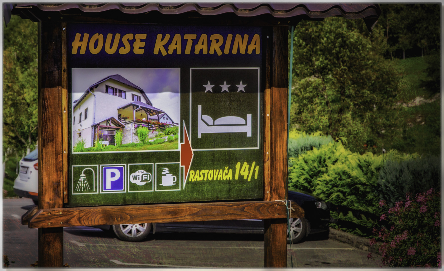 WorldWideWolfe II PICTUREoftheDay