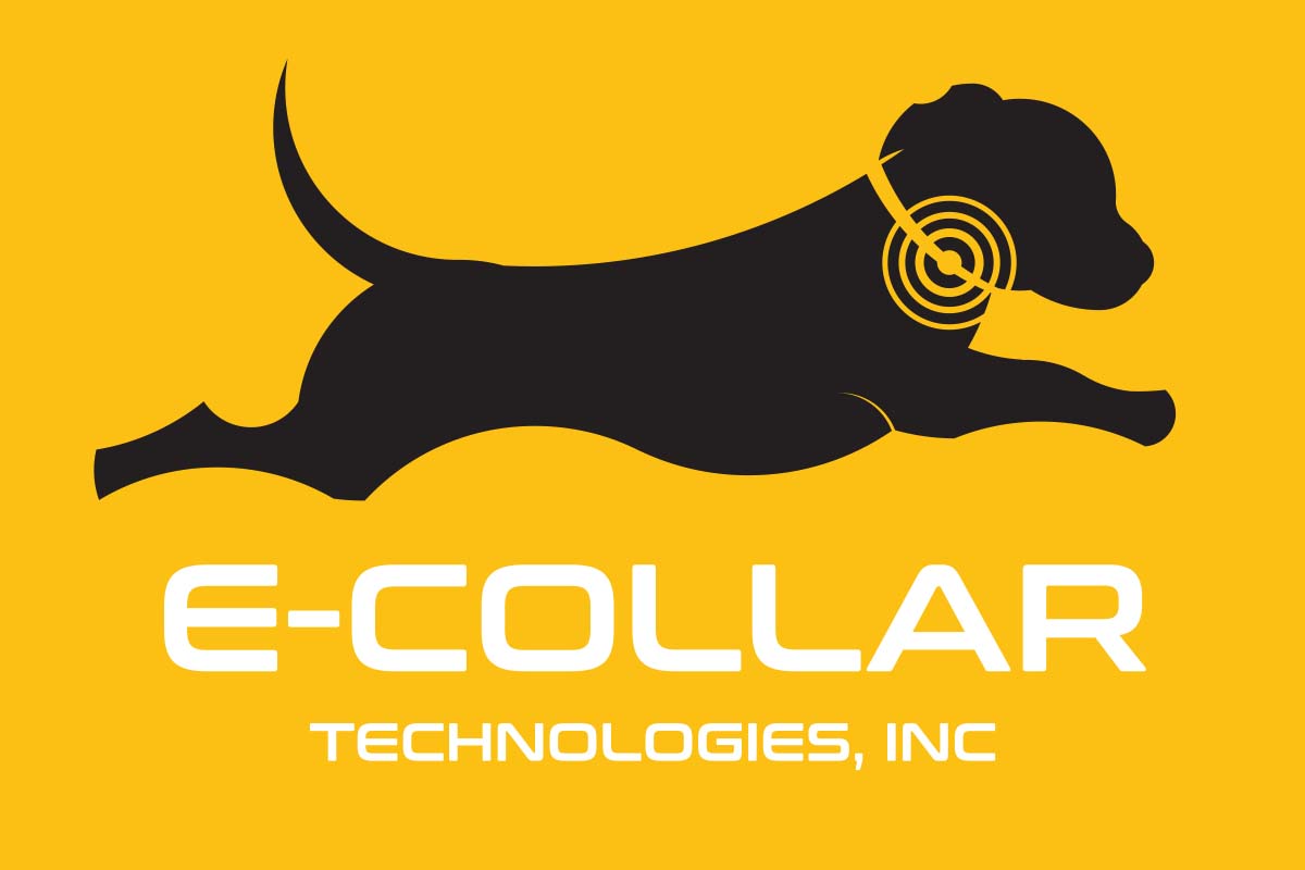 ECollar Technologies Drew LeVan