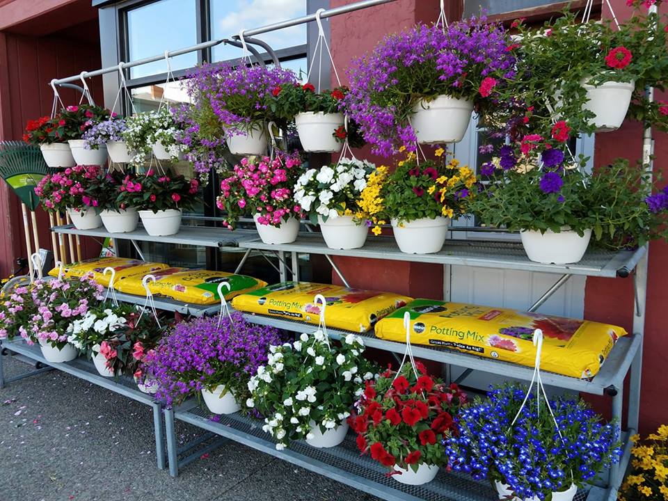 Drew's Hardware 34 Main St, Mount Morris, NY Seasonal promotions