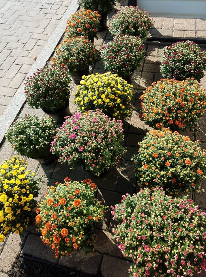 Drew's Hardware 34 Main St, Mount Morris, NY Seasonal promotions