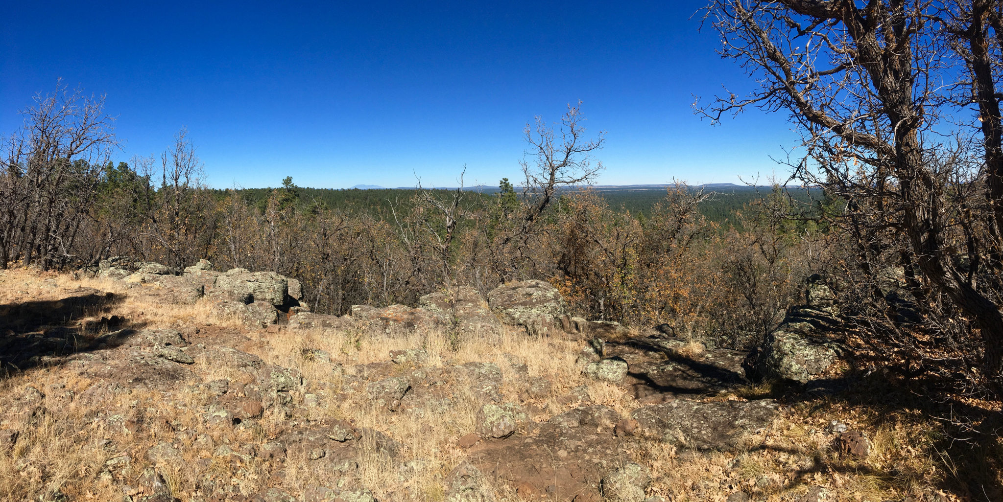 AZT Mile 485, General Springs Canyon Walking to the light
