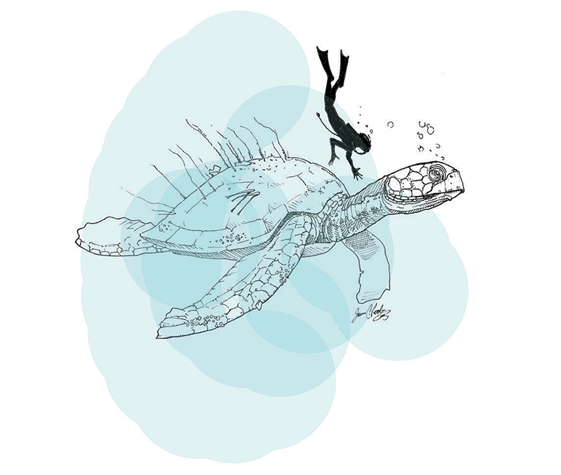 Paleontological Puzzle Drexel Magazine