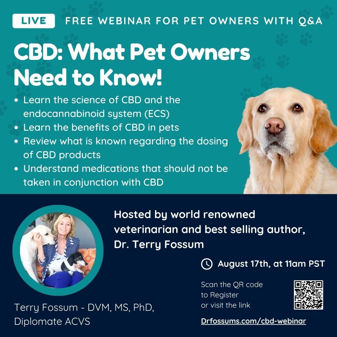 CBD inar Dr. Fossum's Pet Care