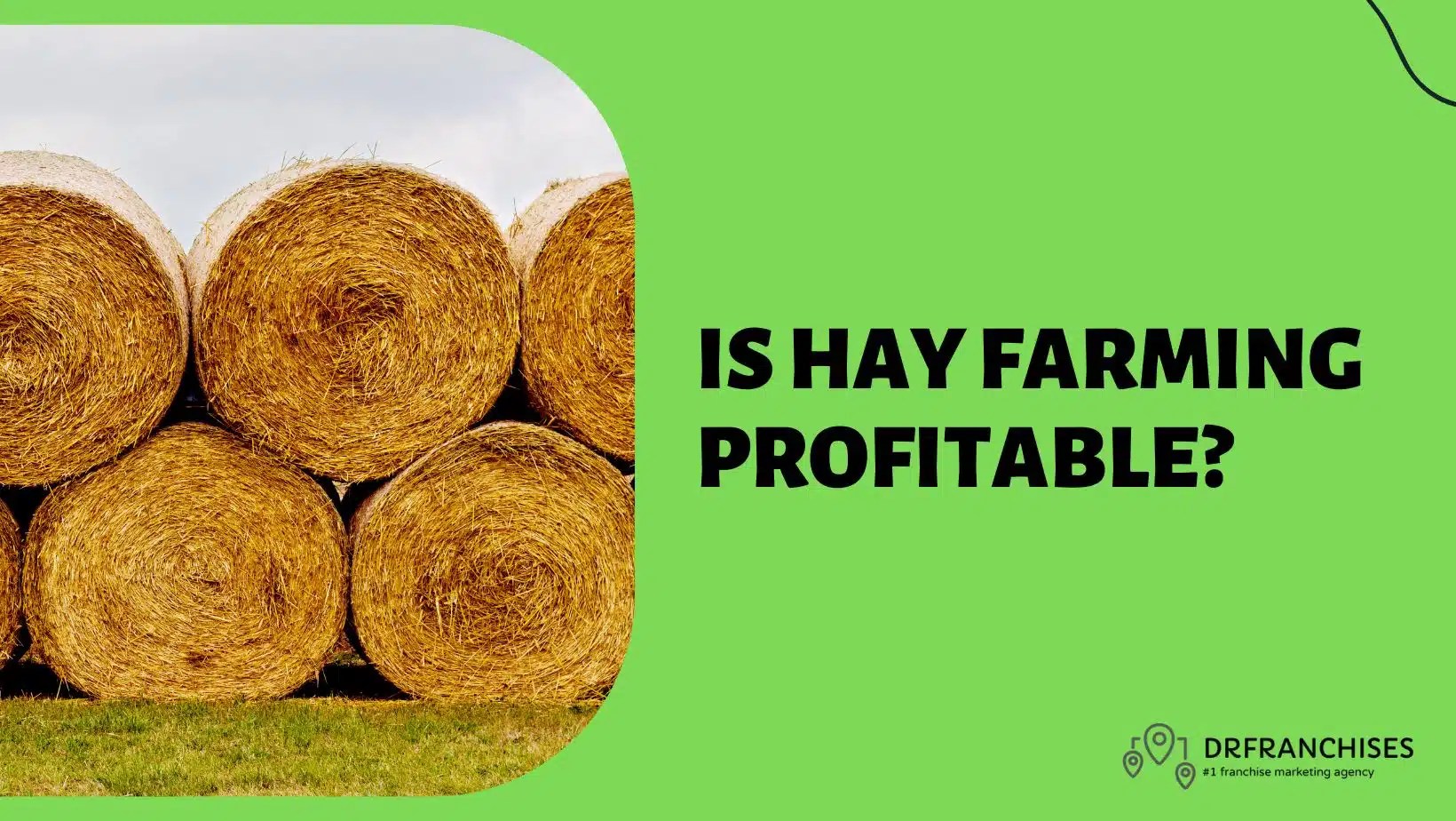 Is Hay Farming Profitable 2024? How Much Can You Really Make?