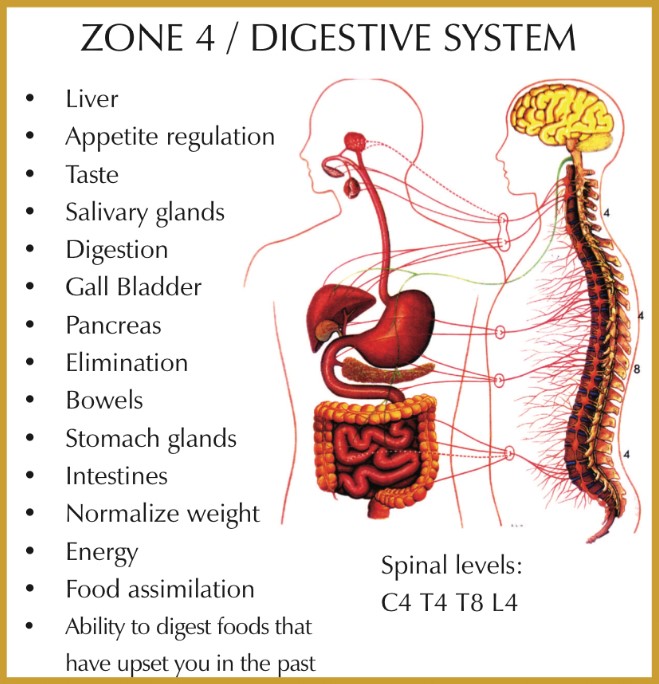 Zone Technique Best Billings Chiroprator near me in Billings Montana
