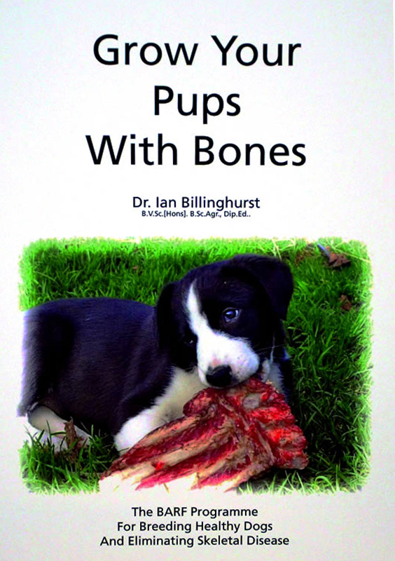 Pet Nutritionist Dr Ian Billinghurst