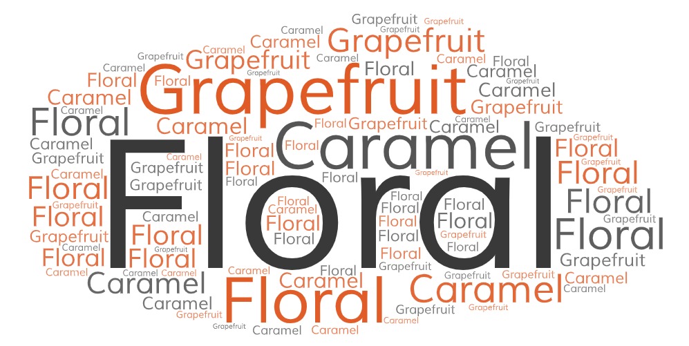 KGA Kenya Nyeri Giakanja Driftaway Coffee