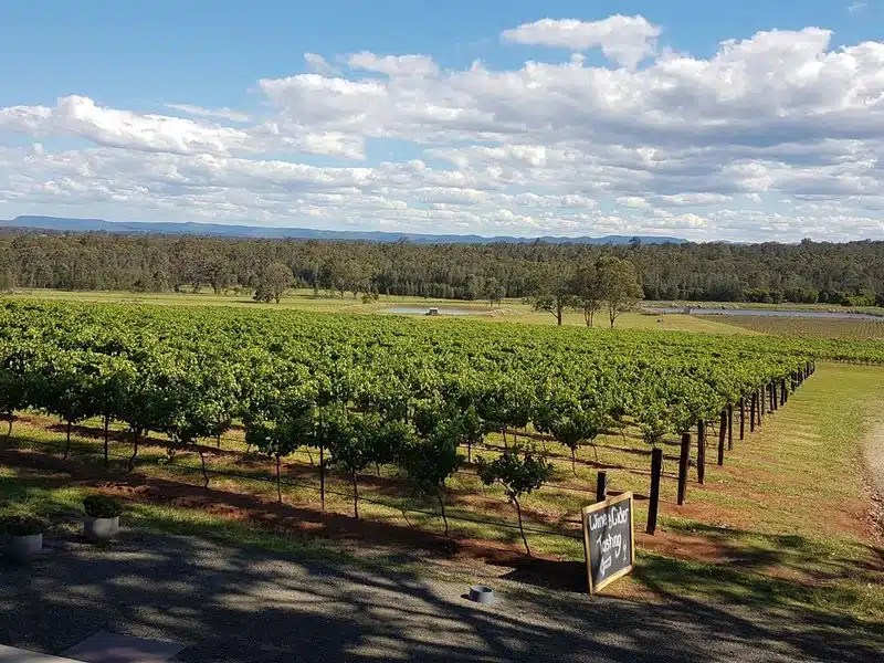Looking for the Perfect Wine Experience in Australia? Try The Hunter