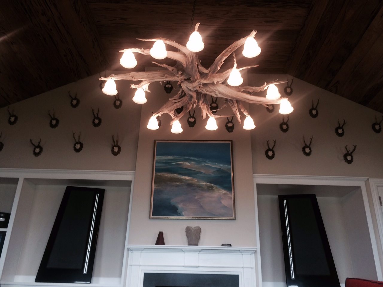 Striking driftwood chandelier. Driftwood chandelier, Hanging ceiling
