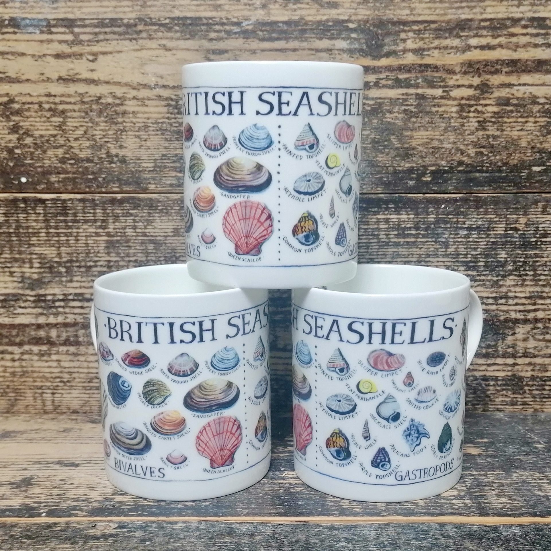 British Seashells Large Mug Driftwood Designs