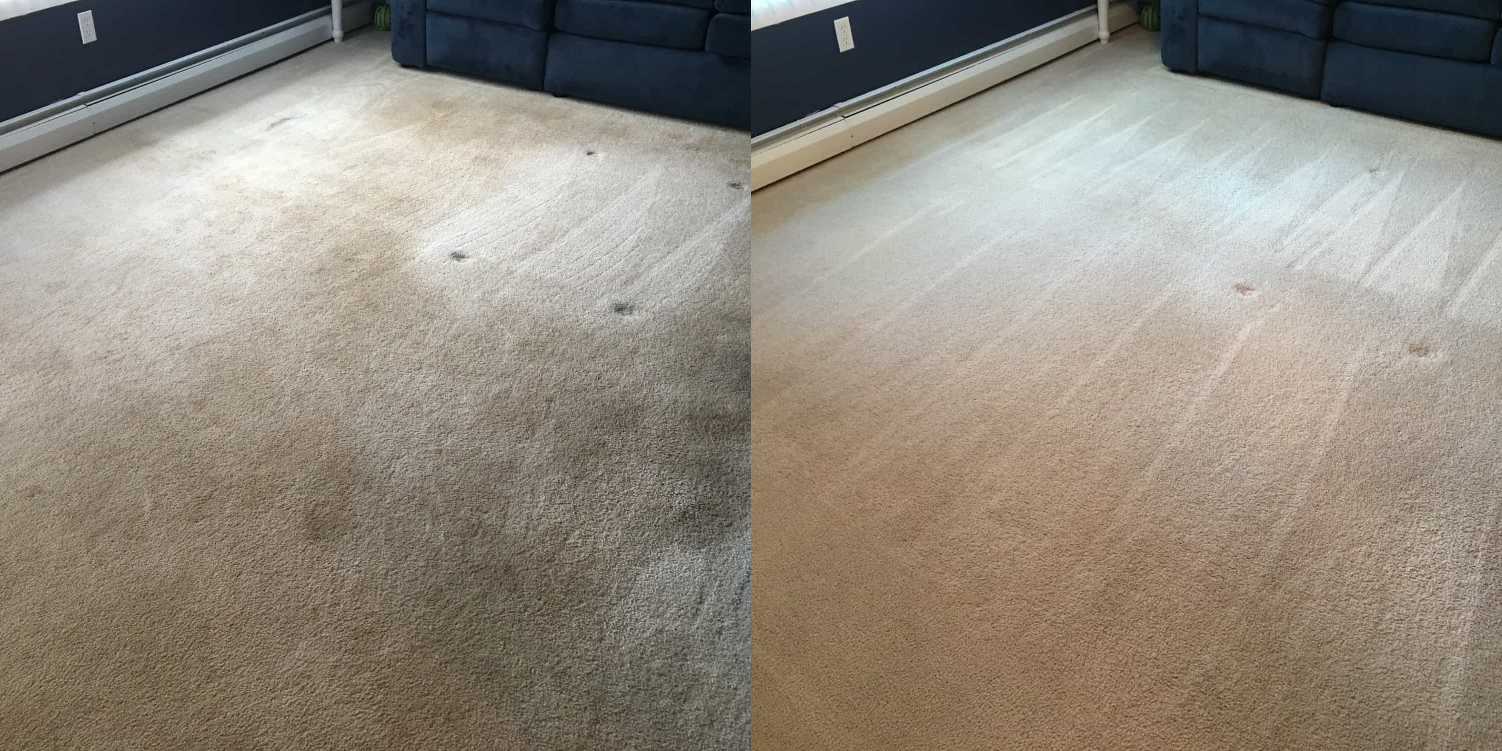 Driganic Carpet Cleaning Services in Springfield PA Carpet Cleaning