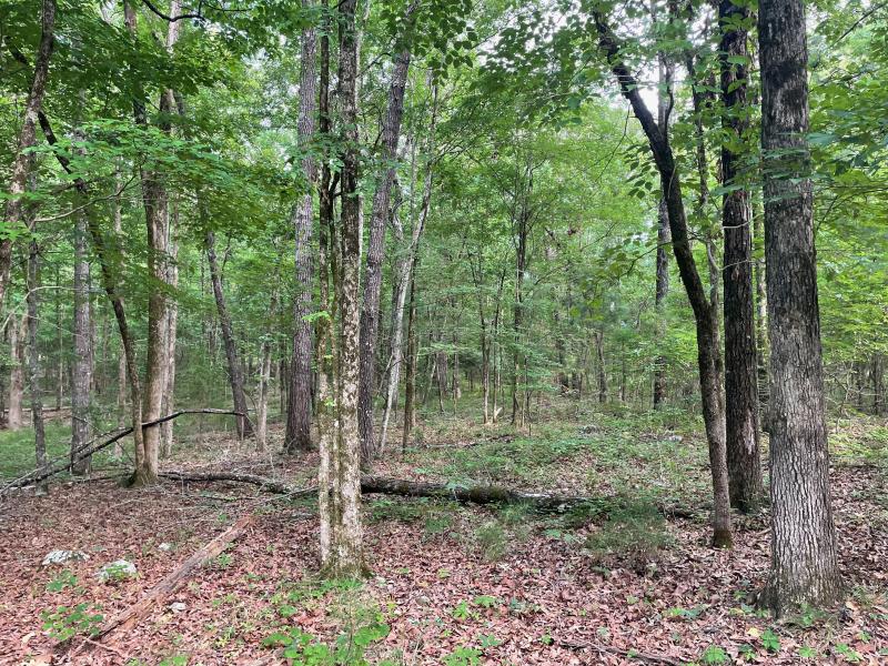 Drinkard Real Estate Sales