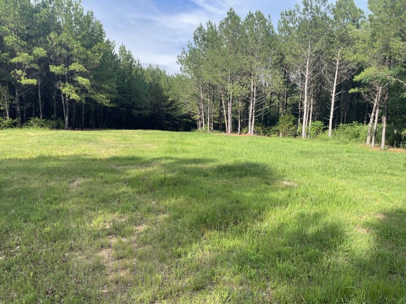 Drinkard Real Estate Sales