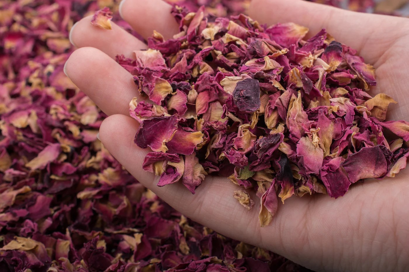 Plants with Benefits Rose Petals Goldthread Tonics