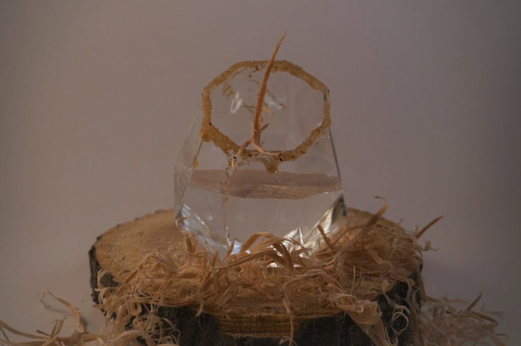 Alcohol Denatured What is Wood Alcohol? DrinkingFolk