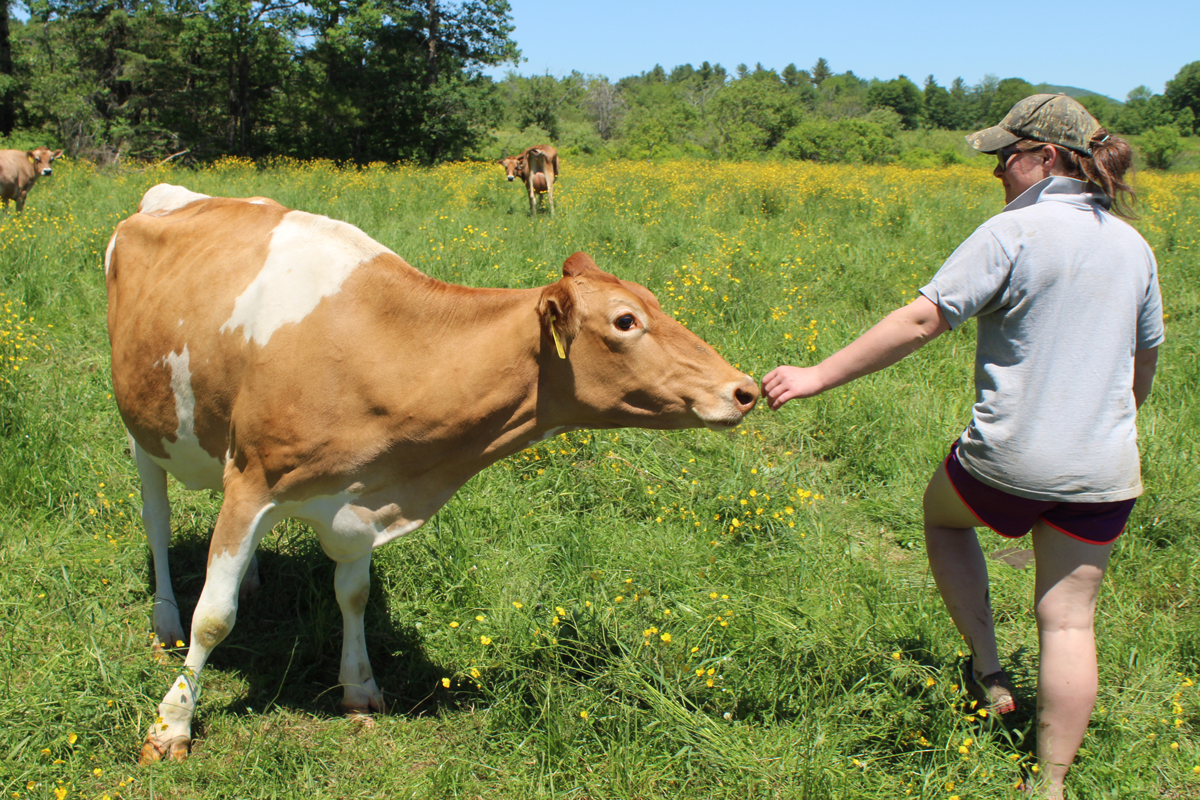 Playing favorites? Maybe just a little. Drink Maine Milk