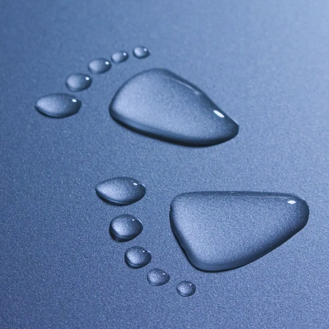 Comparing Carbon Footprints Tap, Bottled, and Purified Water