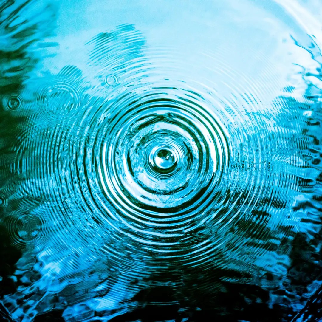 Celebrating Sustainability Day with a Water Cooler