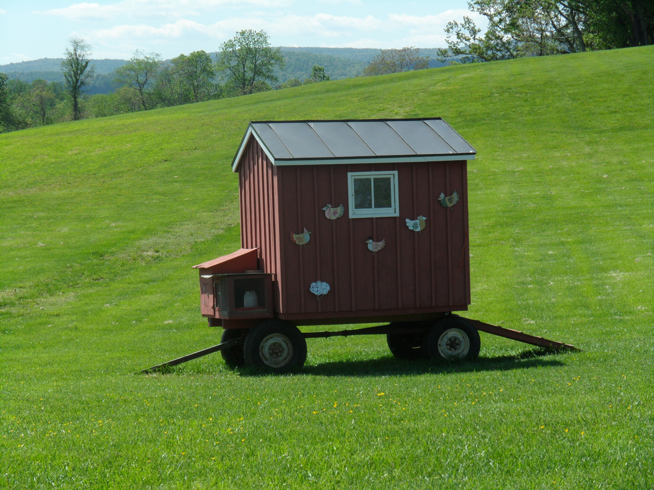 Mina Free range chicken coop design