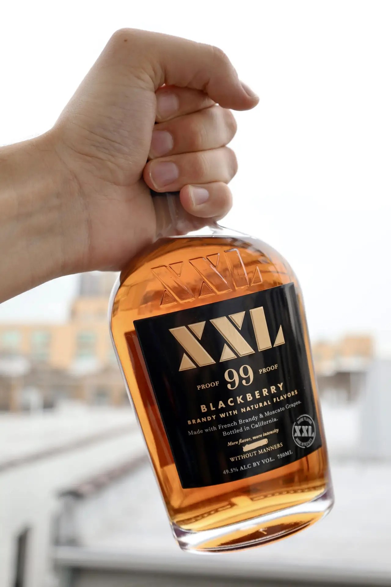 Blackberry 99 Brandy | Premium Spirits | Drink XXL