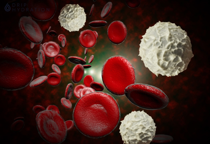 Chỉ số LYM trong xét nghiệm máu như thế nào là cao, thấp, bình thường?