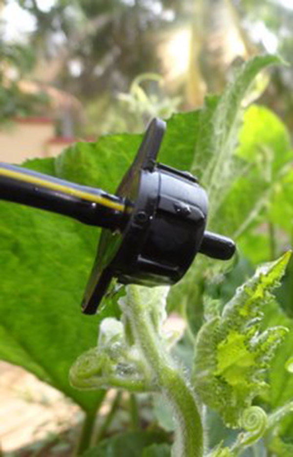 Drip Irrigation Providers and Suppliers in Kerala Drips 'n' Drops