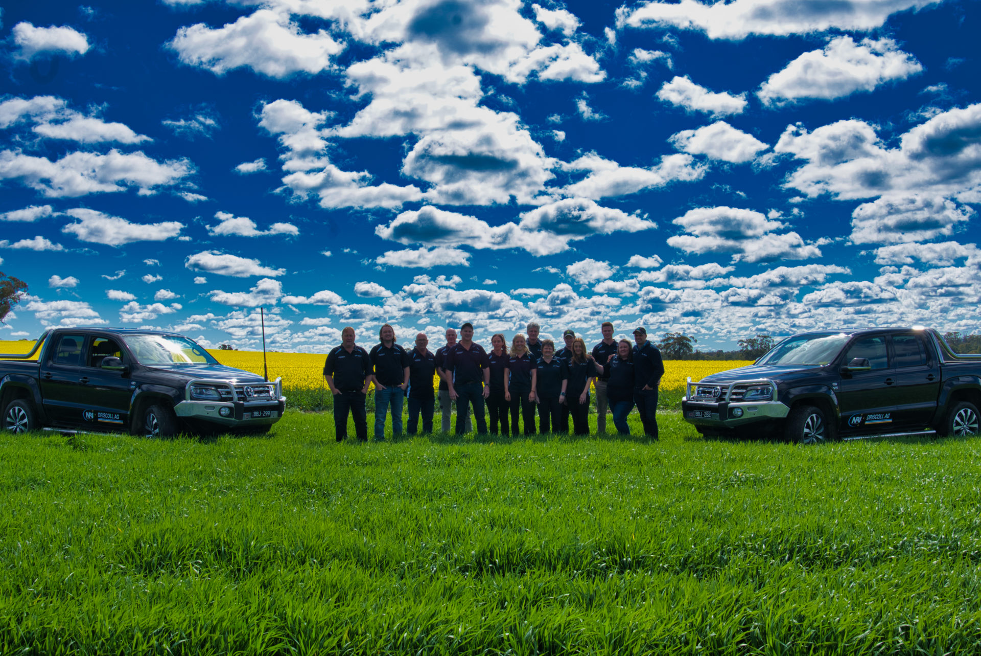 About Driscoll AG Driscoll Ag