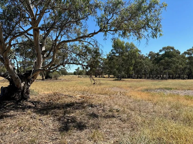 00 Charlton St Arnaud Rd Driscoll Douglas East Rural Real Estate