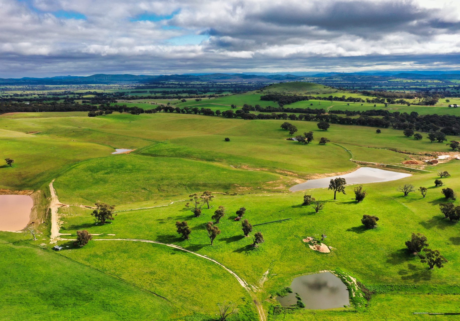 Rural Real Estate Agents Driscoll Douglas East