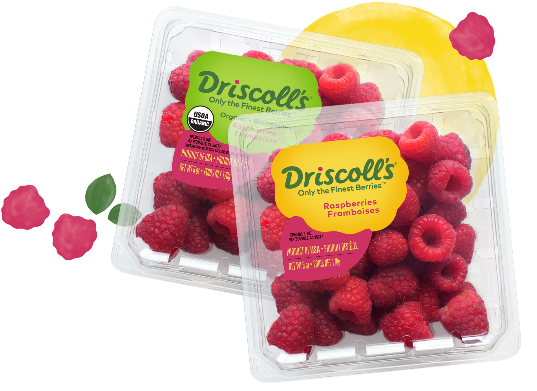 Best Ways to Store Raspberries Driscoll's
