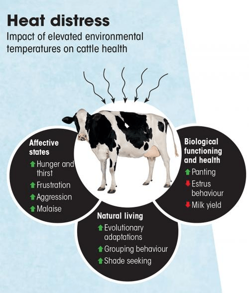 Climate Change and Indian Dairy Sector
