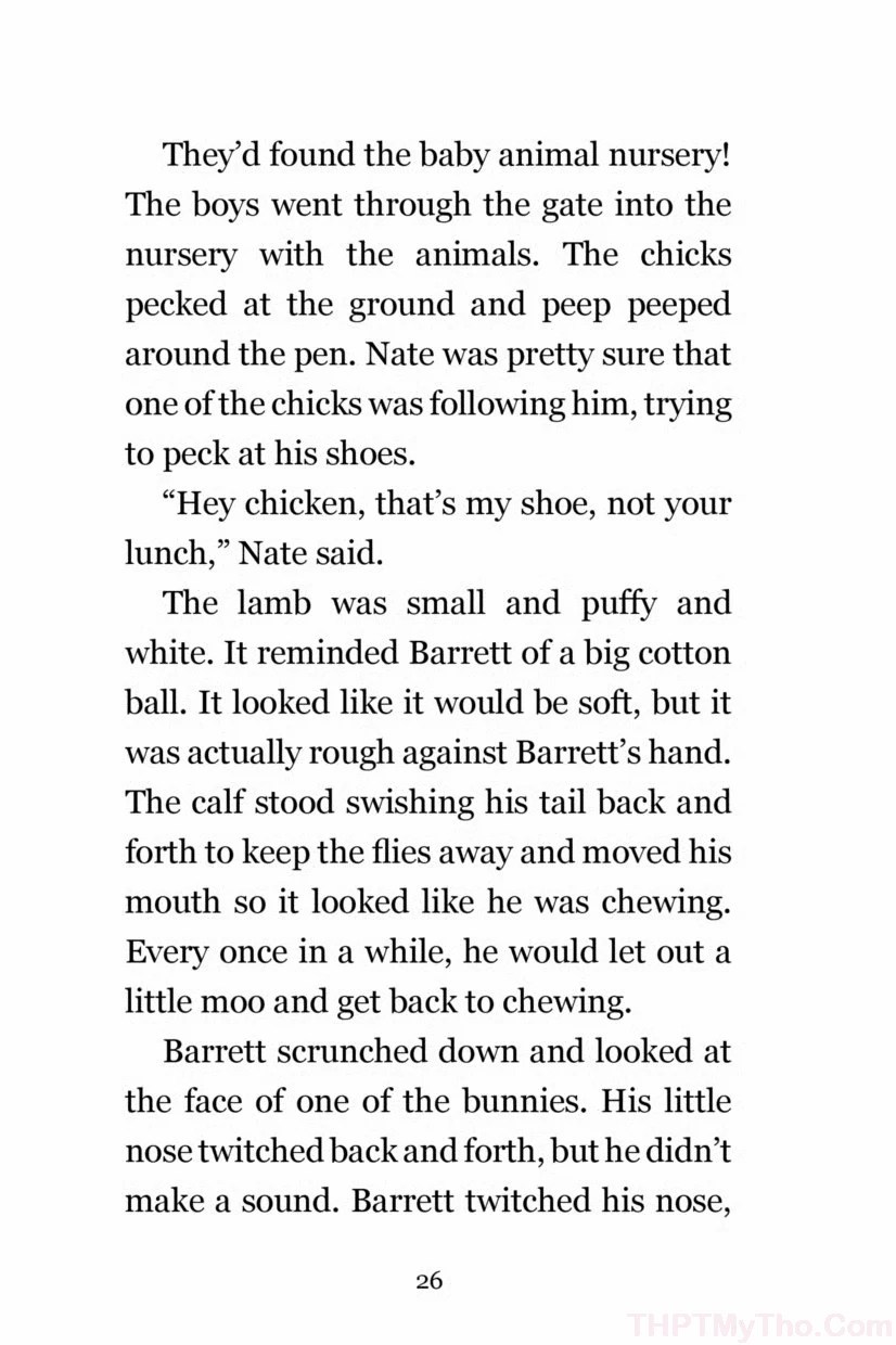 Page 26