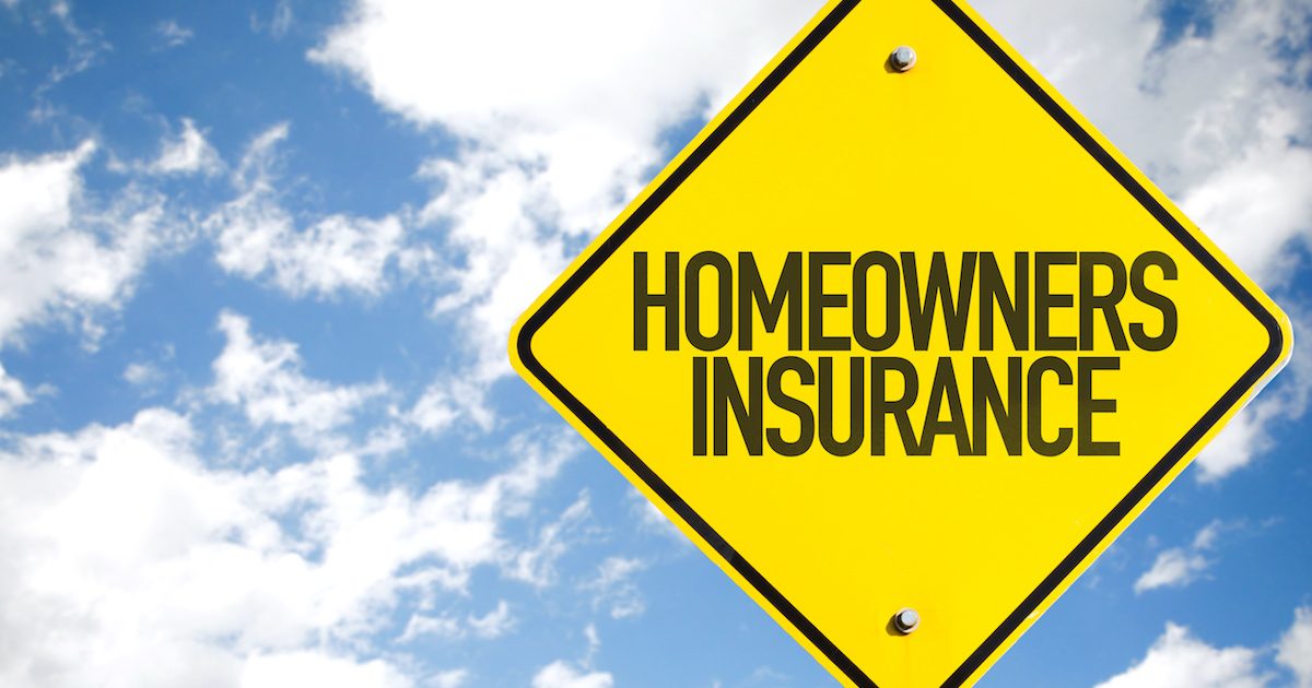 Does Your Homeowners Insurance Cover Termite Damage? DriveBye Pest Exterminators