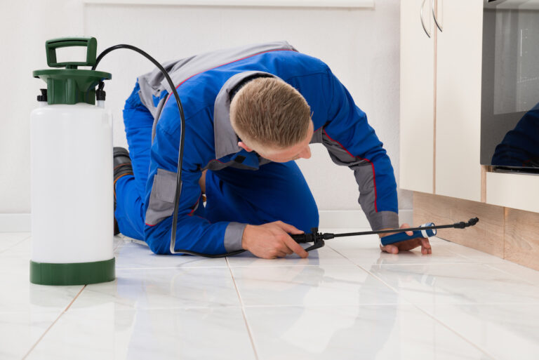 PostPandemic Tampa Bay Home Buyers Don't Waive Your Right to a Pest